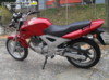 Honda CBF 250 bazar 1